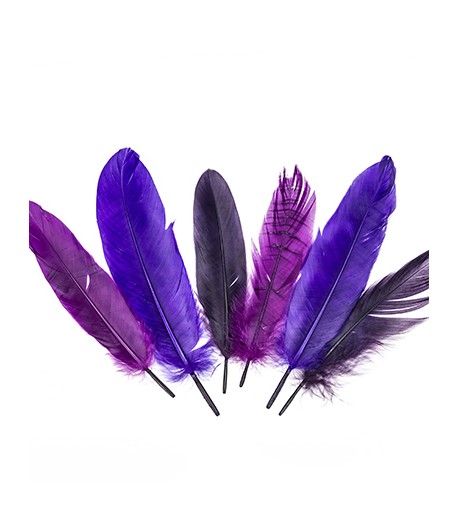 PLUMES TONS VIOLETS X  15