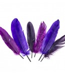 PLUMES TONS VIOLETS X  15