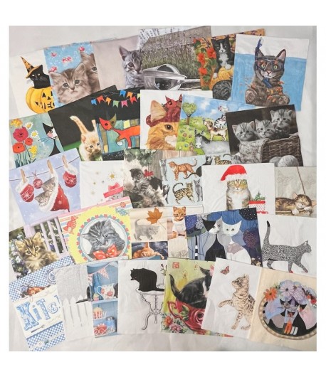 CHATS - LOT DE 30 SERVIETTES - 02