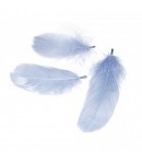 PLUMES BLEUES 5-10CM