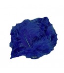 PLUMES DE MARABOUT BLEU X 22 8/10CM