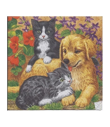 SERVIETTE CHATONS ET CHIOT