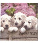 SERVIETTE 3 CHIOTS BLANCS